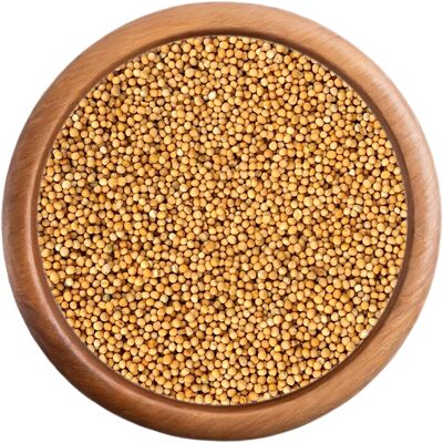 Organska polnomastna bela gorčica - 100 g